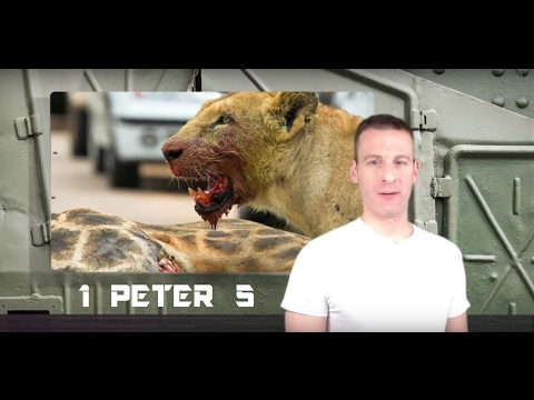 1 Peter Chapter 5 Summary and What God Wants From Us