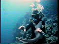 Clips From Old Shark Program 1990