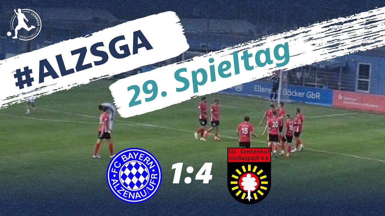 Bayern Alzenau vs SG Sonnenhof Großaspach Highlights