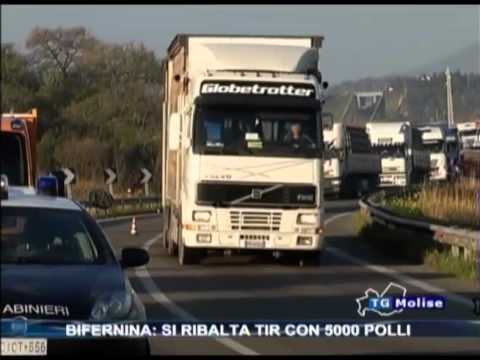 Bifernina: si Ribalta tir con 5000 polli