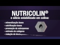 Nutricolin® 300 Mg - 90 Cápsulas