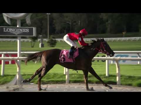 230526 c02 - SMART BEAUTY - HIPODROMO DE MAROÑAS