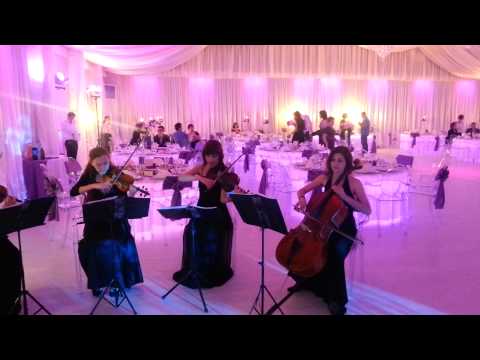 Cort Evenimente Pitesti - Nunta la cort Pitesti