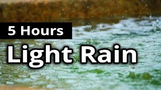 ASMR Rain - Delicate Light RAIN for 5 HOURS - Sleep Sounds + Relaxation