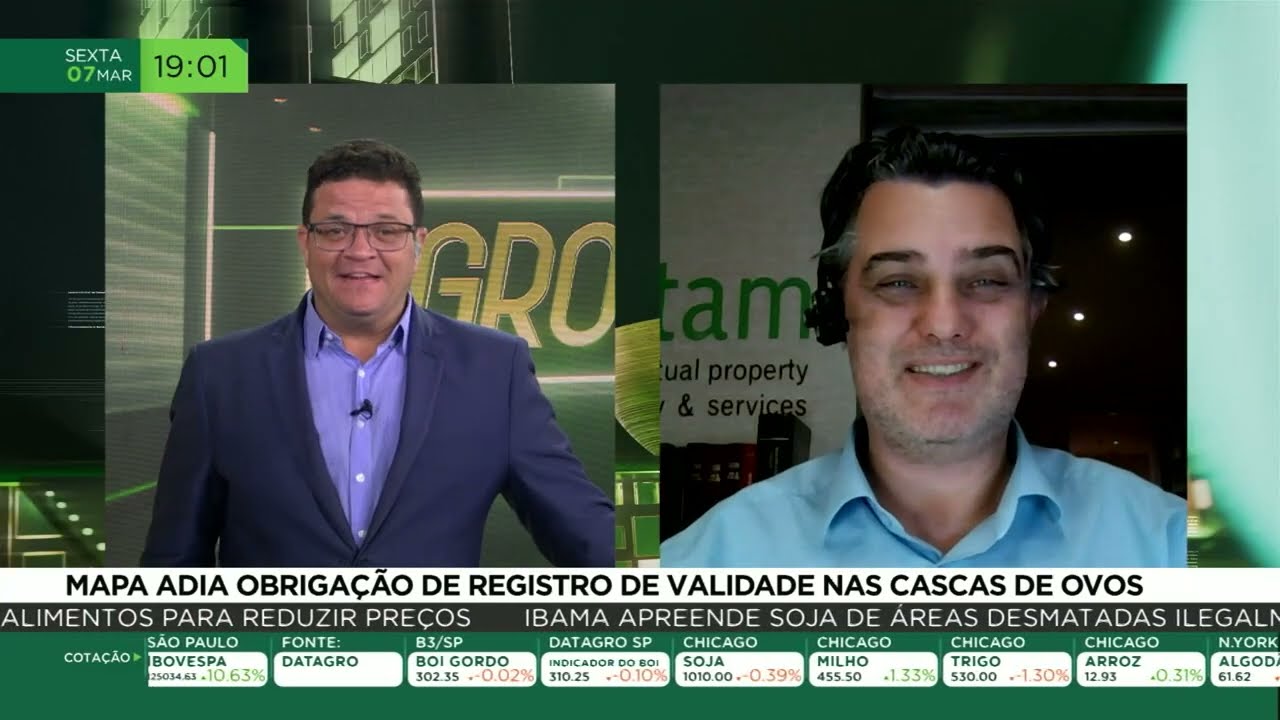 MAPA adia obrigação de registro de validade nas cascas de ovos