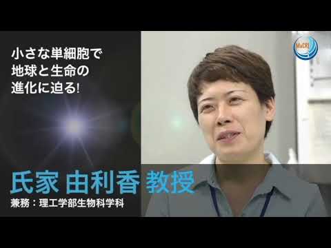 人文社会科学科 2 海洋コア教員紹介 2023