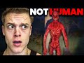 Hunting Mimics To Save My Town