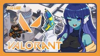 【#valorant 】030: ひさヴァロ！仲良しメンツで和気あいあいと～【#Vtuber 】