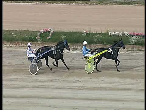 Trotto 26/10/2018 - 2ª prova di qualifica