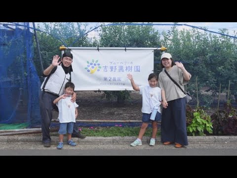 どの果樹から植物に、落ち葉を堆肥にするか