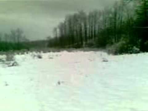 ciga edhe baloshi ne qyqavic 2011