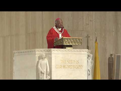Mass of the Holy Spirit Homily 2019