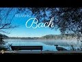 Vídeo para BACH