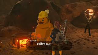 【ゼルダの伝説】魔王はついでのハイラル旅－初見実況プレイ－　二十日目【ブレスオブザワイルド】