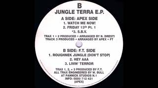 DJ Apex - Friday 13ᵗʰ Pt . 1