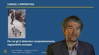 LORENZ: Imprinting