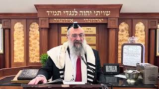 חידושים על פסח שני (הרב יצחק ישראלי) - התמונה מוצגת ישירות מתוך אתר האינטרנט יוטיוב. זכויות היוצרים בתמונה שייכות ליוצרה. קישור קרדיט למקור התוכן נמצא בתוך דף הסרטון