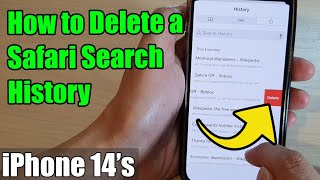 iPhone 14/14 Pro Max: How to Delete a Safari Search History
