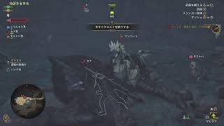 もんはんワイルズする２