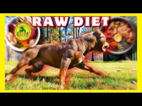 🔥BARF Raw Diet For Dogs 🔥 BUILD MUSCLE For American...