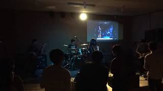 ポルカドットスティングレイ(copy3)