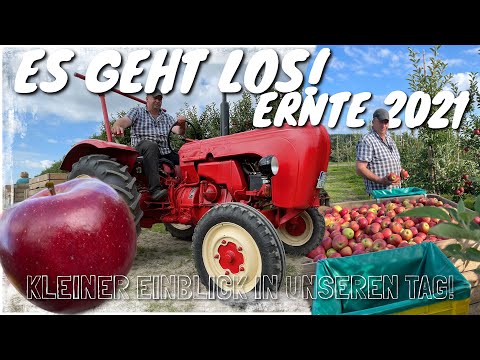 Obsthof Raddatz -Fendt 211P 3.Steuerkreis I Es geht los ERNTE 2021 I FENDT 211P DPF regenerieren