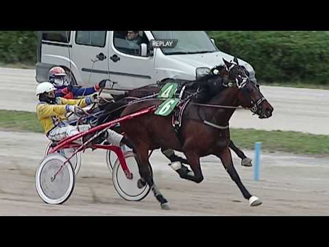 Aversa trotto 1 Febbraio 2020 - 1° Corsa