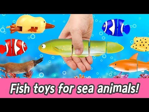 [EN] Fish toys for sea animals!! animal names for kids, kids animation, collecta ㅣCoCosToy