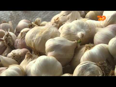 Ne Shtepine Tone, 14 Janar 2016, Pjesa 2 - Top Channel Albania - Entertainment Show