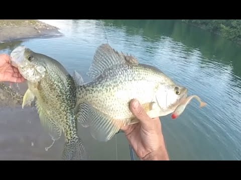 Slab Crappie Slayfest at a New Jersey Quarry