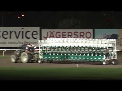 2018.10.04 Scandinavian Arabian Derby (SWE) - Akoya