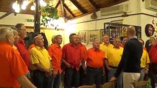 preview picture of video 'Coro Folkloristico La Quercia di Fossalta Pgr.,17.06.2014 con Signore delle Cime saluta gli amici'