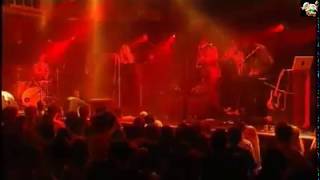 The Asteroids Galaxy Tour - Bad Fever (live 2009 subtitulado en ingles/lyrics)