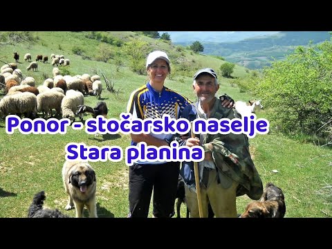 Ponor - stočarsko naselje - selo Gostuša - Stara planina #priroda#travel #selo #serbiatourism 