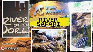 RIVER SAFARI SINGAPORE #singaporetravel #touristplace #asmr #viralvideo