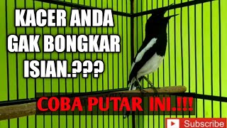 Download lagu KACER ngeplay COCOK UNTUK PANCINGAN KACER BAHAN AGAR NGEMPLONG BONGKAR MATERI.!!!Sound relaxing bird mp3