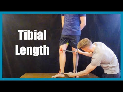 Tibial Length Measurement