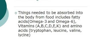 Grade 12 Biology: The Digestive System: Chemical Digestion