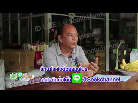 วางพรูค้อนในร้านขายยารับจ้าง-Ude เพิ่มความแข็งแรงของพืชสมุนไพร