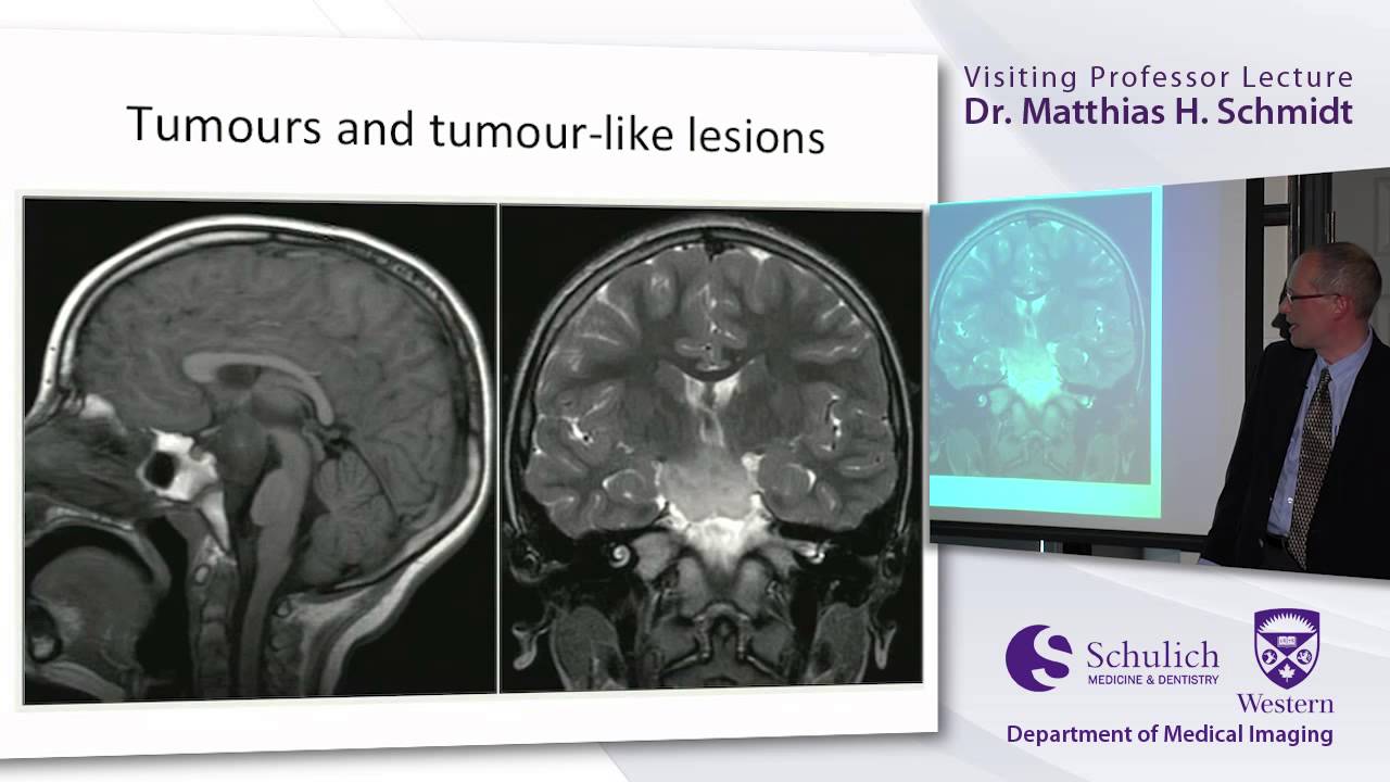 Visiting Professor - Dr Matthias Schmidt (May 2013)