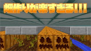 【スカイブロック】畑作りが楽すぎる!!!【ハイピクセル】