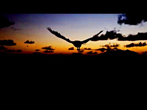 Red Dead Stories - "Dragonheart" Recreation