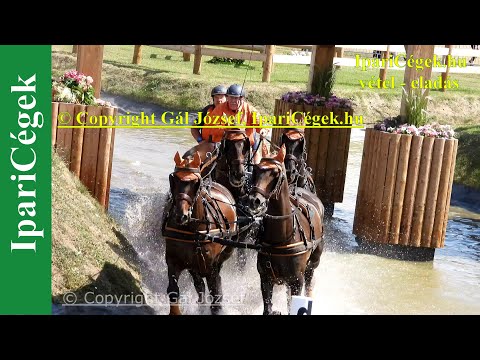 Fogathajtás, HEUS Hans (33), NED, 7s, Marathon, 4K, Bp., 2021., sv4K210904-1-1827-220125