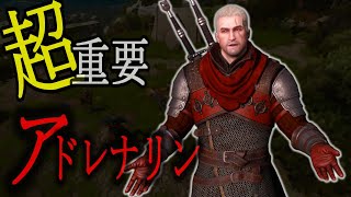 ウィッチャー3：超重要！アドレナリンについて解説　その他アドレナリン使用のアビリティなど【TheWitcher】