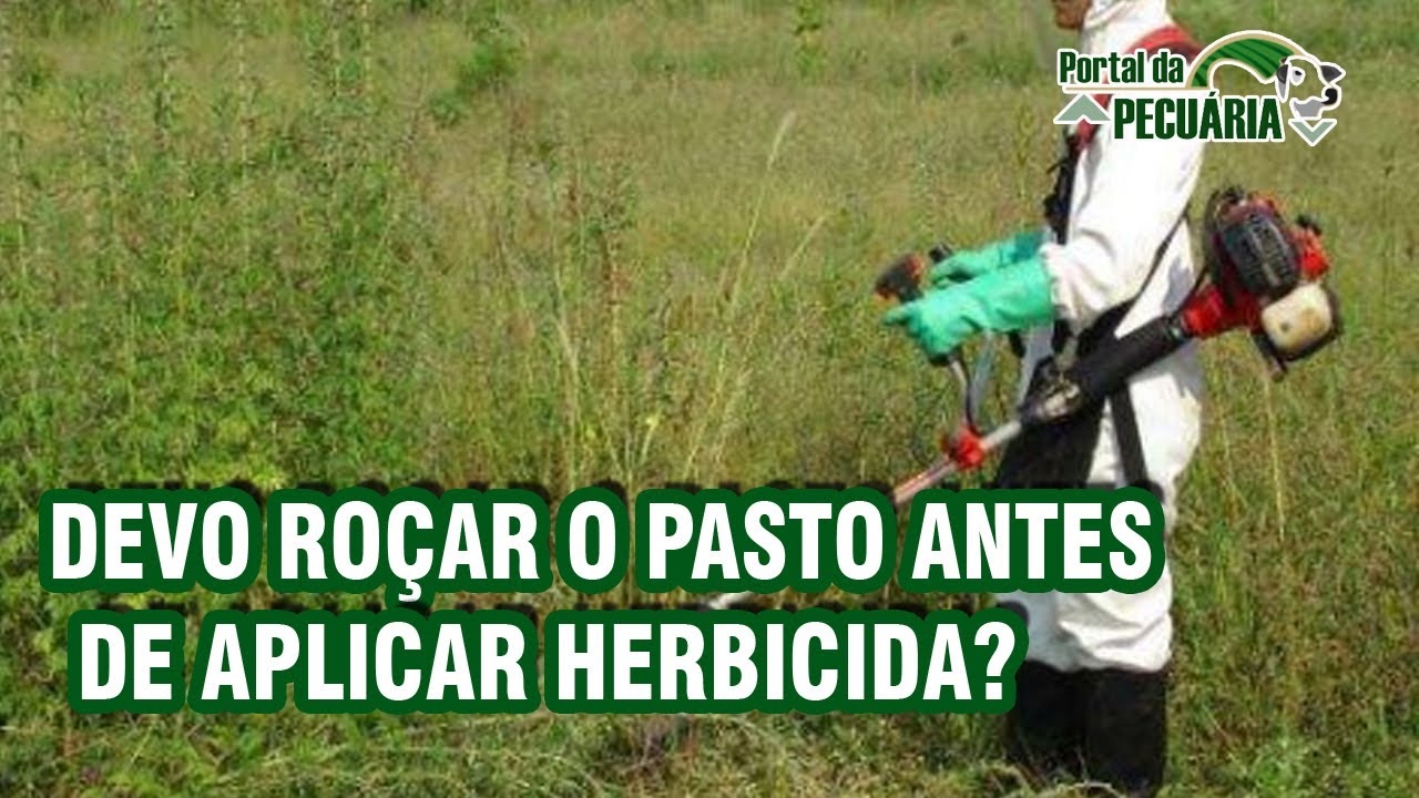 Devo roçar os pasto antes de aplicar herbicida?