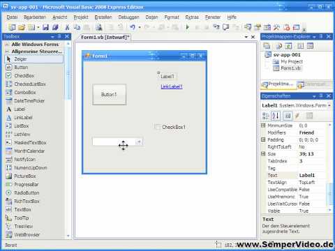 Die Grundlagen (Visual Basic 2008 1-2)
