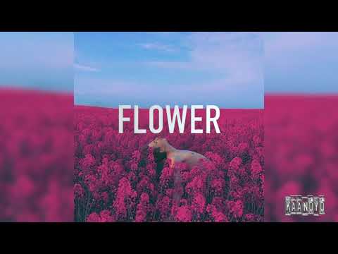 [FREE] Lomepal x Josman Type Beat 2019 - "FLOWER" (Prod. KAANDYD)