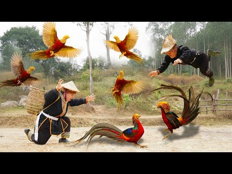 Hunting Pheasants & Foraging Berries | Dwarf Family Survival in the Wild Forest