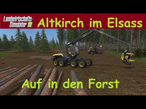 Auf in den Forst / LS 17 / Altkirch im Elsass / #65