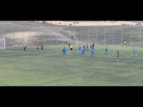 Video-Miniaturansicht